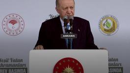 Cumhurbaşkanı Erdoğandan Yeşil Vatan vurgusu: 5 karar aldık