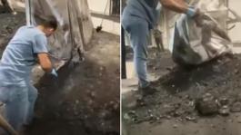 Sınırda tarihi operasyon! Kömüre emdirilmiş halde ele geçirildi