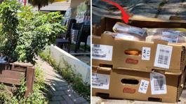 Zincir markette skandal! Tavukları güneşin altında beklettiler