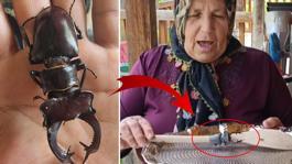 Bu böceği öldürmenin cezası 560 bin TL