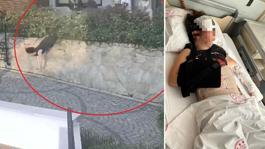 Komşu kavgası feci bitti, doktorun iteklediği kadın ağır yaralandı
