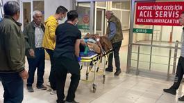 Arazi anlaşmazlığı cinayetle bitti! Eski muhtar kardeşini öldürdü, iki kişiyi yaraladı
