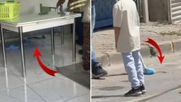 İstanbulda 7 ilçede yılan görüldü, vatandaşlar tedirgin