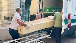 İstanbulda kene vakalarında artış! 6-7 bin kişi hastaneye başvurdu
