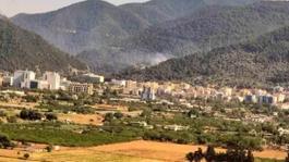 İzmirin iki ilçesinde orman yangını çıktı