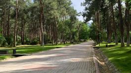 Parkta oturan genç kızları önce takip sonra taciz etti