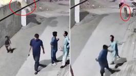 Evde bakılan aslan, duvardan atlayarak sokaktaki insanlara saldırdı