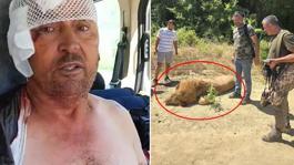 Manavgatta hayvan parkından kaçan aslan öldürüldü