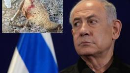 Sözün bittiği yer! Netanyahunun son vahşeti