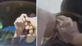Kalemi polise fırlatan kadın, bedelini ağır ödedi