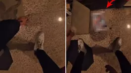 Süpriz sandı ama... Paspası kaldıran motokurye, büyük pişmanlık yaşadı