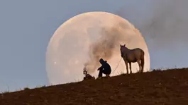 Vanda çekildi, herkes bu kareyi paylaşıyor