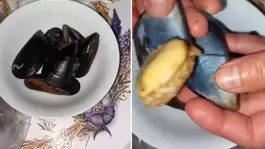İnsanlara ne yediriyorlar? Midyeye tövbe ettirecek görüntü