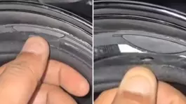 Motosiklet kaskının içinden çıkan şey inanılmaz