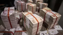 IQ Moneye yasa dışı bahis operasyonu