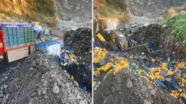 Sınır kapısında zirai ilaç kalıntısı bulunan 6 ton mandalina imha edildi