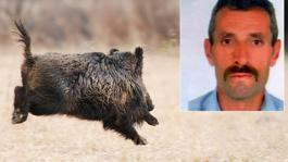 Avlamak istediği domuz talihsiz adamın sonu oldu