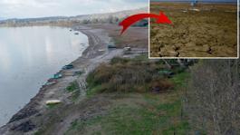 65 yıldır böylesi görülmedi! Sapancada sular çekildi, görüntü endişe verici