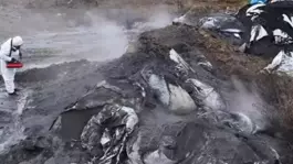 Ankarada kökü koku paniği! Vatandaşlar isyan etti, ekipler seferber oldu