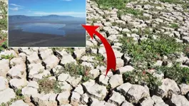 3 ilçeyi besleyen göl yeniden su tutmaya başladı! Her yerden su fışkırıyor