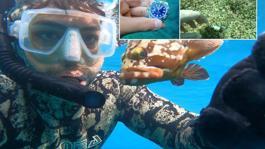 Denizden çıkardı, 3 bin dolara sattı