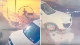 Sahipsiz köpek kabusu! 10 yaşındaki çocuğu dehşeti yaşadı