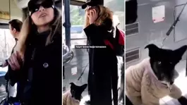 Savcıyım deyip terör estiren kadının asıl mesleği bakın ne çıktı