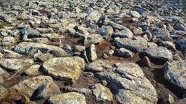 Şanlıurfada volkanik bazalt taşlarının altında cephanelik ele geçirildi: 8 gözaltı