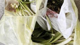 Pazardan aldı, zehir çıktı! Ağzına bir lokma alan doktor fenalaştı