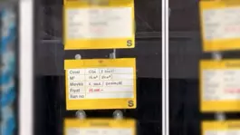 Karşıyakada metrekaresi 1000 liraya kiralık oda