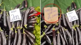 Savaşın gölgesi tarlaya da düştü, pazarda "taksit" dönemi başladı