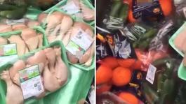 Paket paket tavuklar çöpe gitti