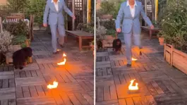 Sürgündeki Kraliçe Farah Pehleviden dikkat çeken Nevruz paylaşımı