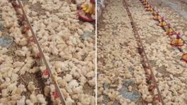 Yeni işe soyunan genç, sabah uyanınca hayatının şokunu yaşadı