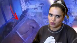 Balıkçıda asma tavan çöktü, aile yaralandı