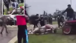 Sahibinin, koşmadığı için dövdüğü at bayıldı