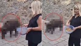 Safiye Soyman kapısına dayanan domuzu elleriyle besledi