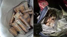 Çikolata var dedi, içinden servet çıktı! Türkiyeye girerken yakalandı