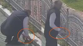 Kocaelide tramvay hattında sevgi dolu duraklama: Vatmandan kaplumbağaya yardım eli