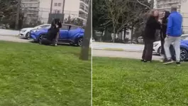 İki kadının kavgasına olay tepki: Ejderha kadınlar sizi