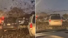 Neler oluyor? Tel Avivden servis edilen yeni görüntü ses getirdi