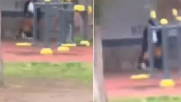 Parkta güpegündüz infial yaratan görüntü