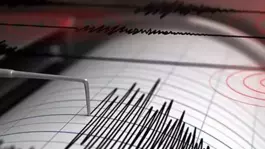 Pasifikteki ada ülkesi Vanuatuda 7,3 büyüklüğünde deprem