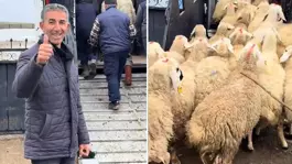 Koyun satın alırken Türkiyede bir ilki gerçekleştirdi