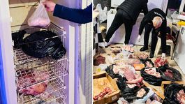 Kasapta mide bulandıran görüntüler! Hepsini vatandaşa yedireceklerdi