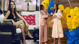 Çıplak fotoğrafları sızan model, konsolosluk koltuğunu kaybett,