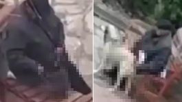 Skandal görüntü! Parktaki sokak hayvanlarını istismar etti