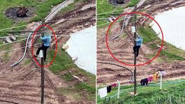 Dronu görünce kaçak hatları iptal etti