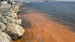 Görüntü Marmaradan! Deniz turuncu renge büründü