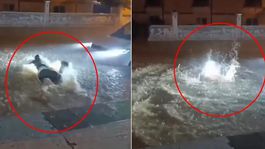 Mardinde kuvvetli sağanak sonucu cadde ve sokaklar sular altında kaldı